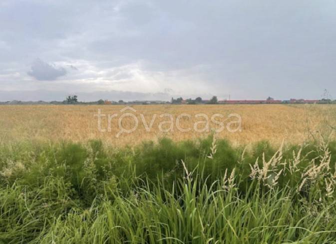 ufficio in vendita a Portogruaro
