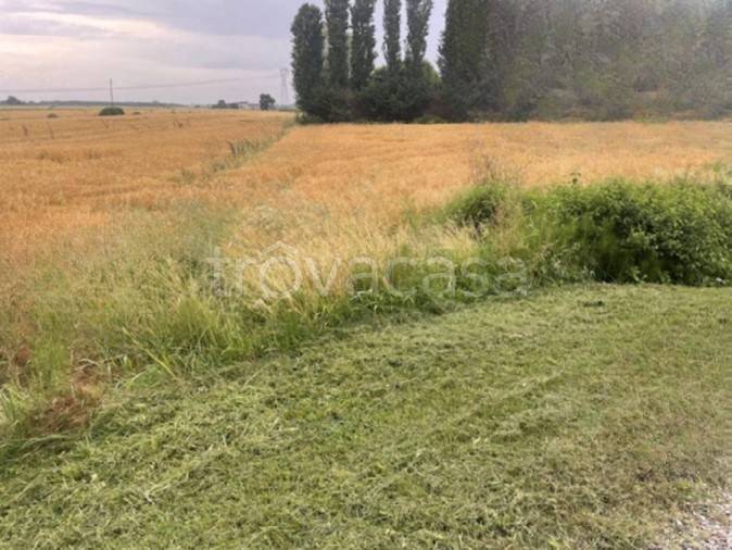 ufficio in vendita a Portogruaro