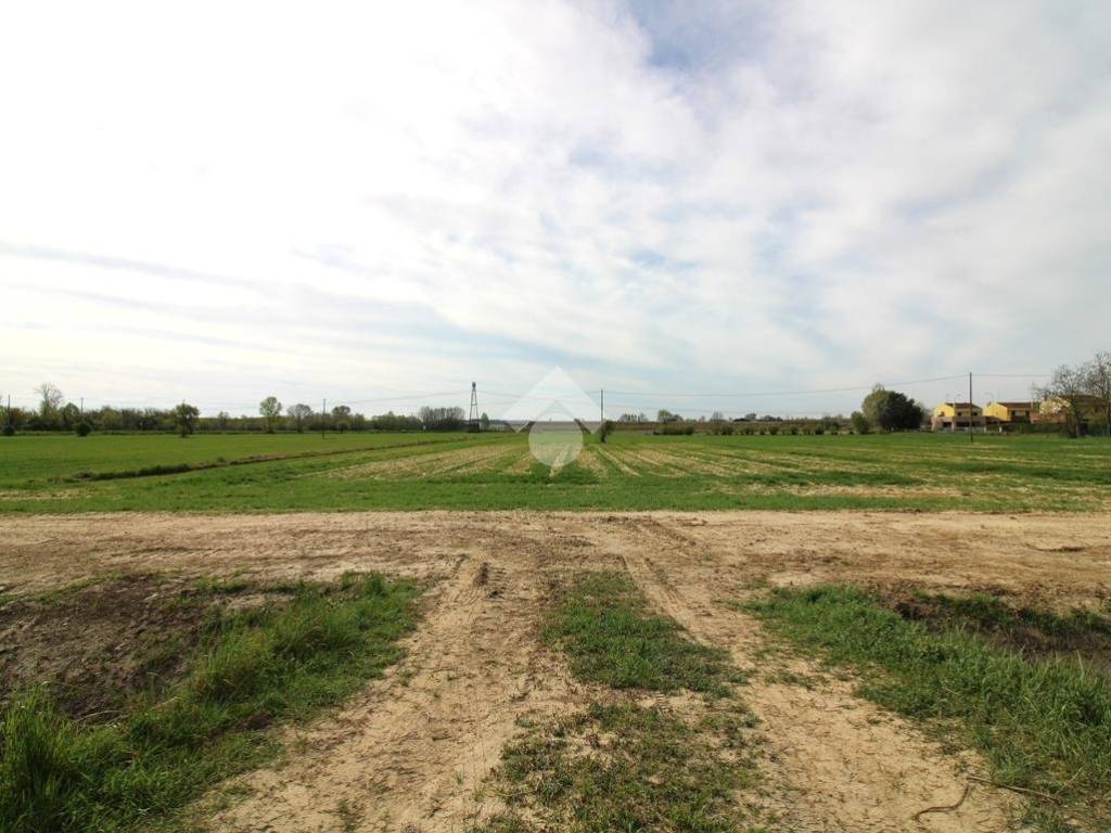 terreno agricolo in vendita a Portogruaro in zona Portovecchio