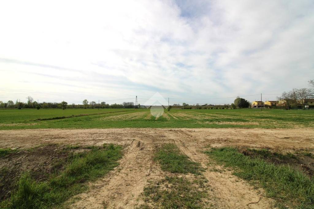 terreno agricolo in vendita a Portogruaro in zona Portovecchio
