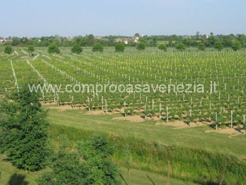 terreno in vendita a Portogruaro in zona Ca' Longa