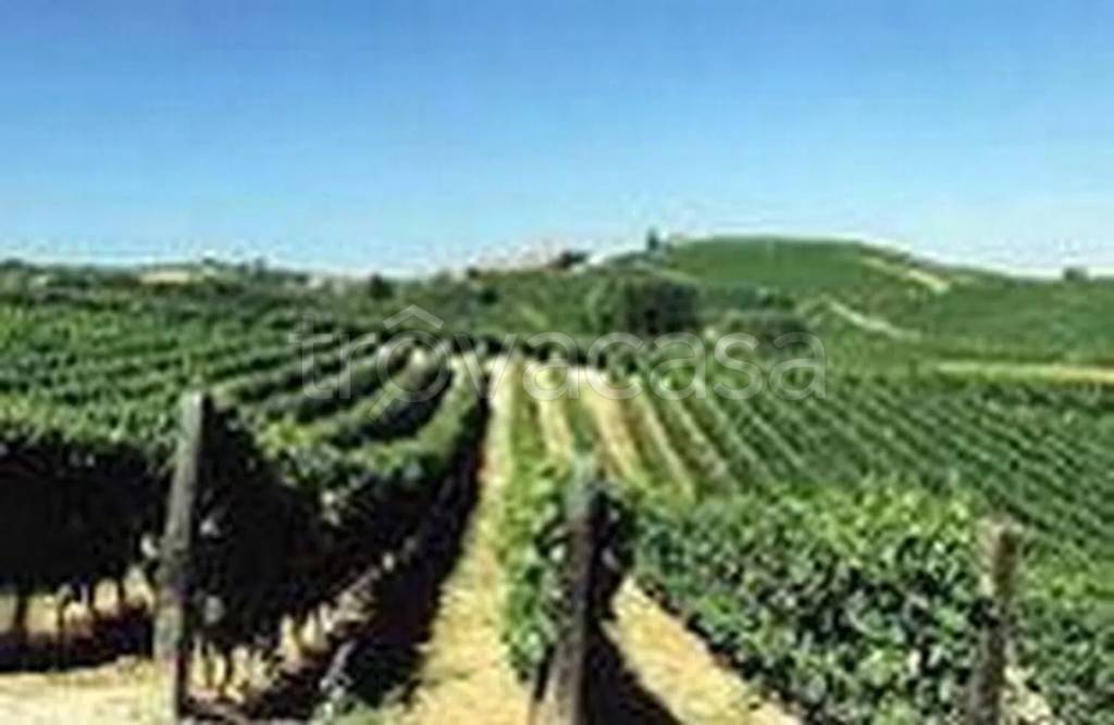 azienda agricola in vendita a Pramaggiore