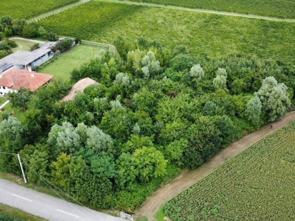 terreno agricolo in vendita a Pramaggiore in zona Blessaglia