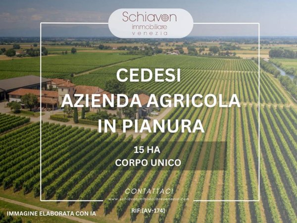 terreno agricolo in vendita a Pramaggiore