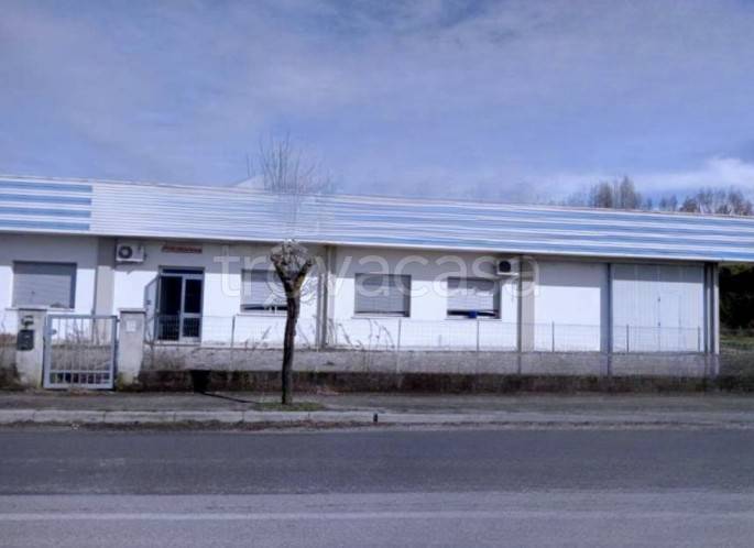locale commerciale in vendita a Pramaggiore