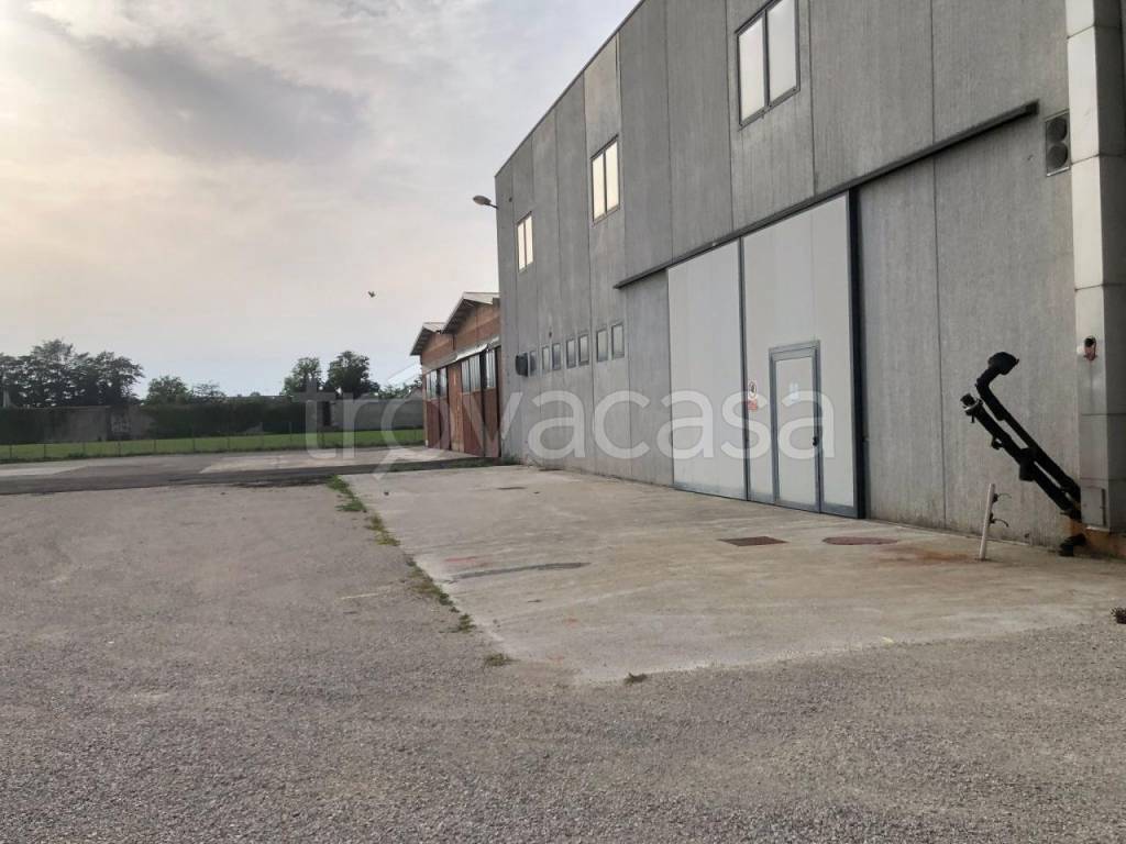capannone in vendita a Quarto d'Altino in zona Altino