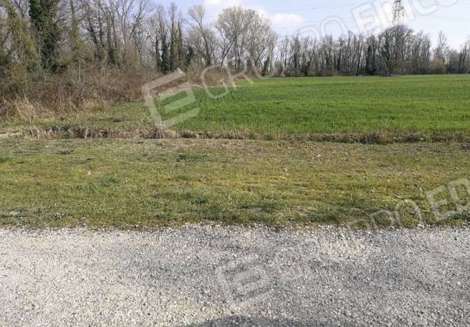 ufficio in vendita a Quarto d'Altino in zona San Michele Vecchio