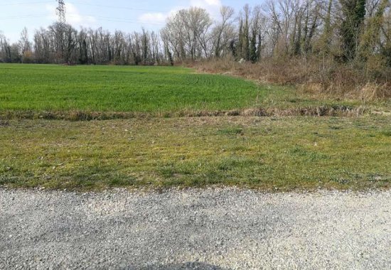 terreno agricolo in vendita a Quarto d'Altino in zona San Michele Vecchio