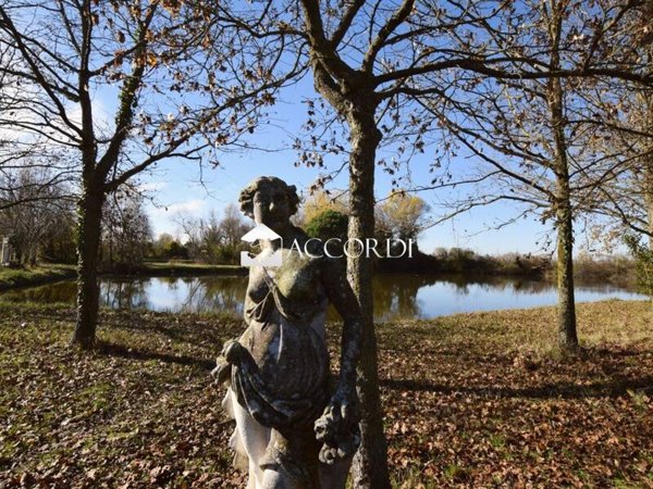 terreno agricolo in vendita a Quarto d'Altino