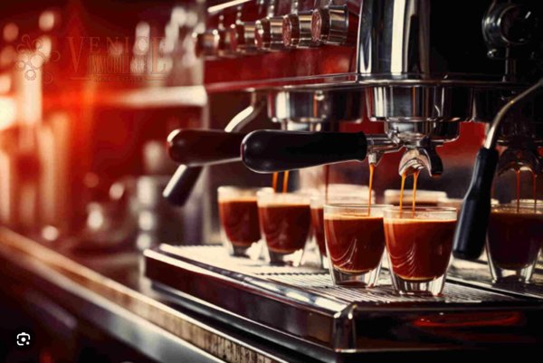 negozio in vendita a Quarto d'Altino