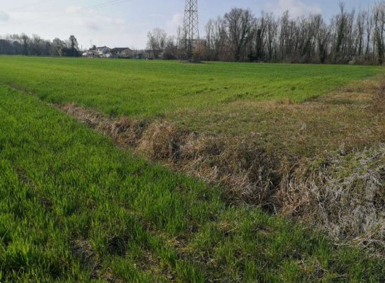 terreno agricolo in vendita a Quarto d'Altino in zona San Michele Vecchio