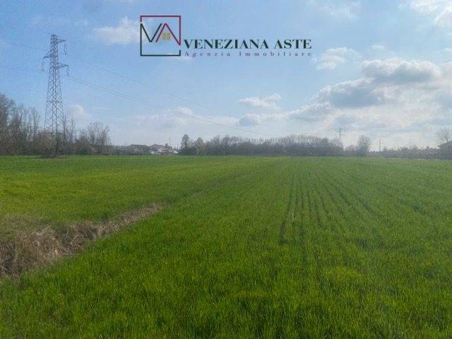 ufficio in vendita a Quarto d'Altino in zona San Michele Vecchio