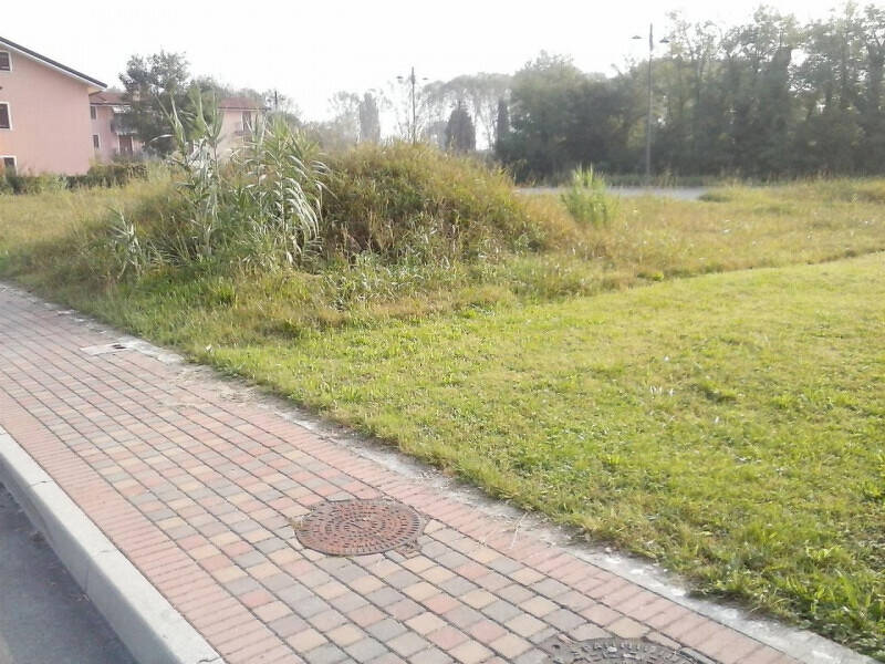 terreno agricolo in vendita a Quarto d'Altino