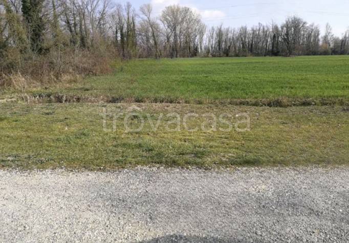 ufficio in vendita a Quarto d'Altino in zona San Michele Vecchio