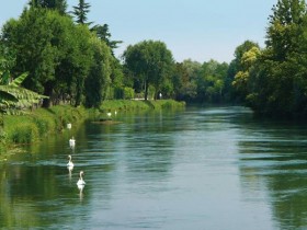 terreno edificabile in vendita a Quarto d'Altino