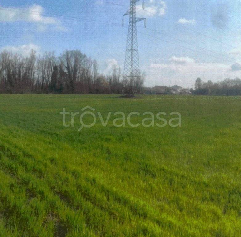 terreno edificabile in vendita a Quarto d'Altino in zona Altino