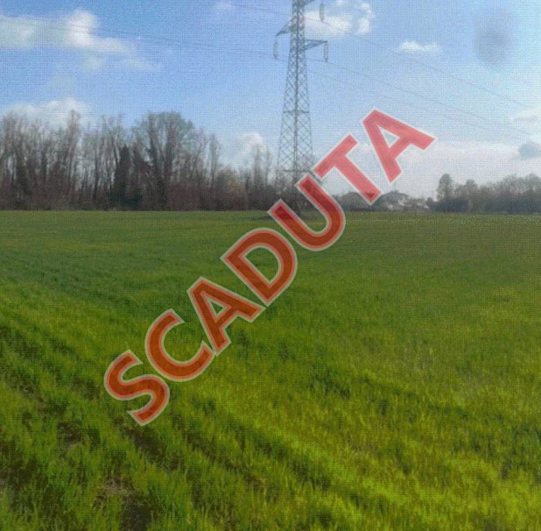 terreno edificabile in vendita a Quarto d'Altino in zona Altino