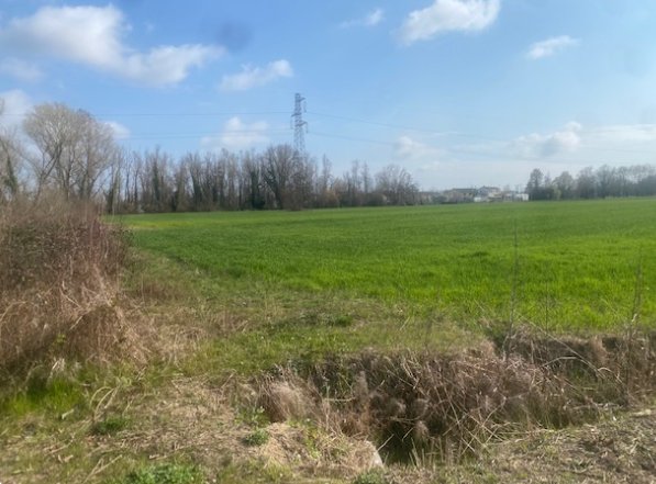 terreno agricolo in vendita a Quarto d'Altino in zona San Michele Vecchio
