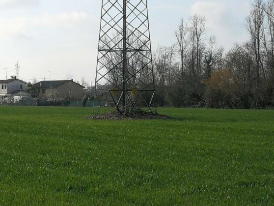 terreno agricolo in vendita a Quarto d'Altino in zona San Michele Vecchio
