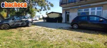 negozio in vendita a Salzano