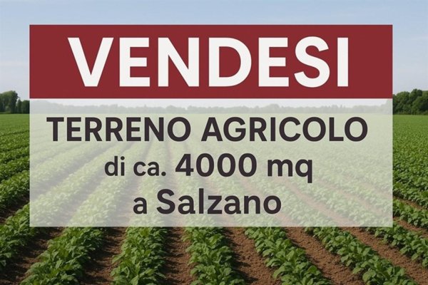 terreno agricolo in vendita a Salzano in zona Robegano