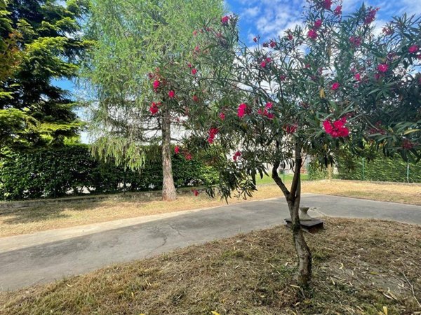 casa indipendente in vendita a Salzano