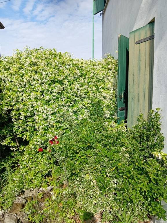 casa indipendente in vendita a Salzano