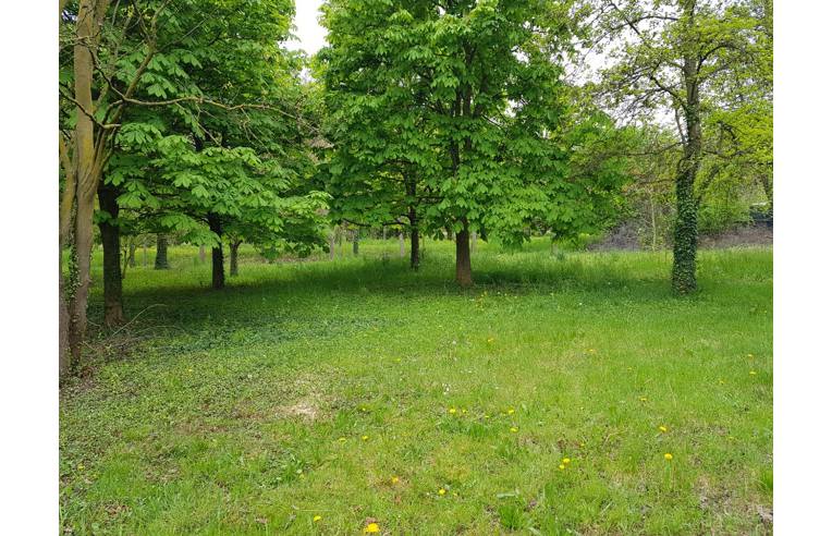 casa indipendente in vendita a Salzano