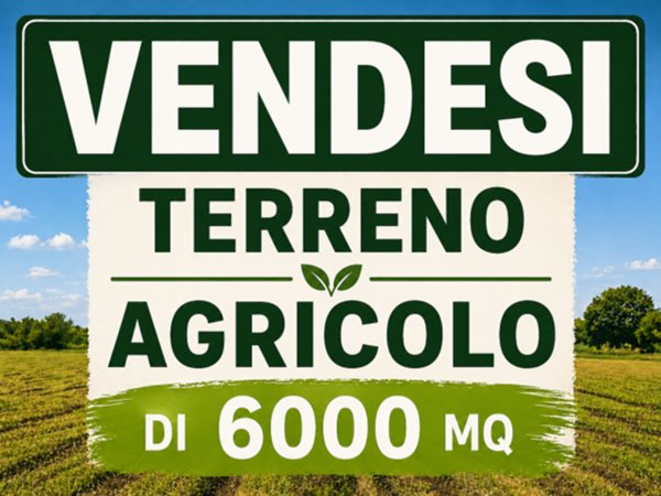 terreno agricolo in vendita a Salzano in zona Robegano