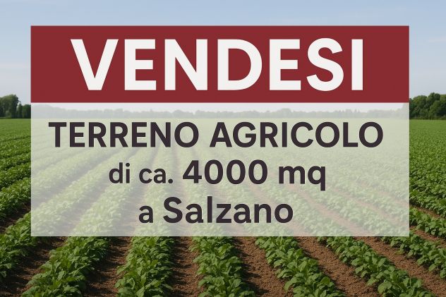 terreno in vendita a Salzano