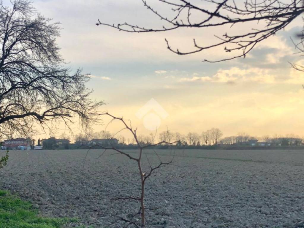 terreno agricolo in vendita a San Donà di Piave in zona Passarella