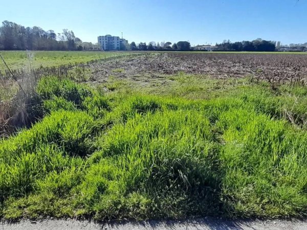 terreno agricolo in vendita a San Donà di Piave