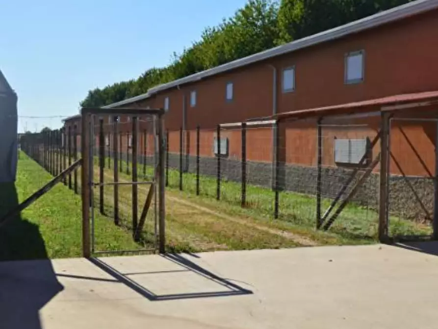 terreno agricolo in vendita a San Donà di Piave