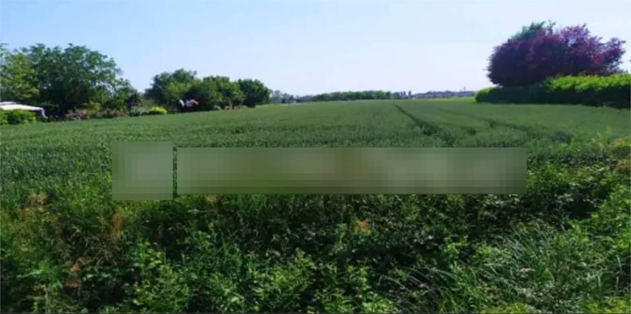 terreno edificabile in vendita a San Donà di Piave