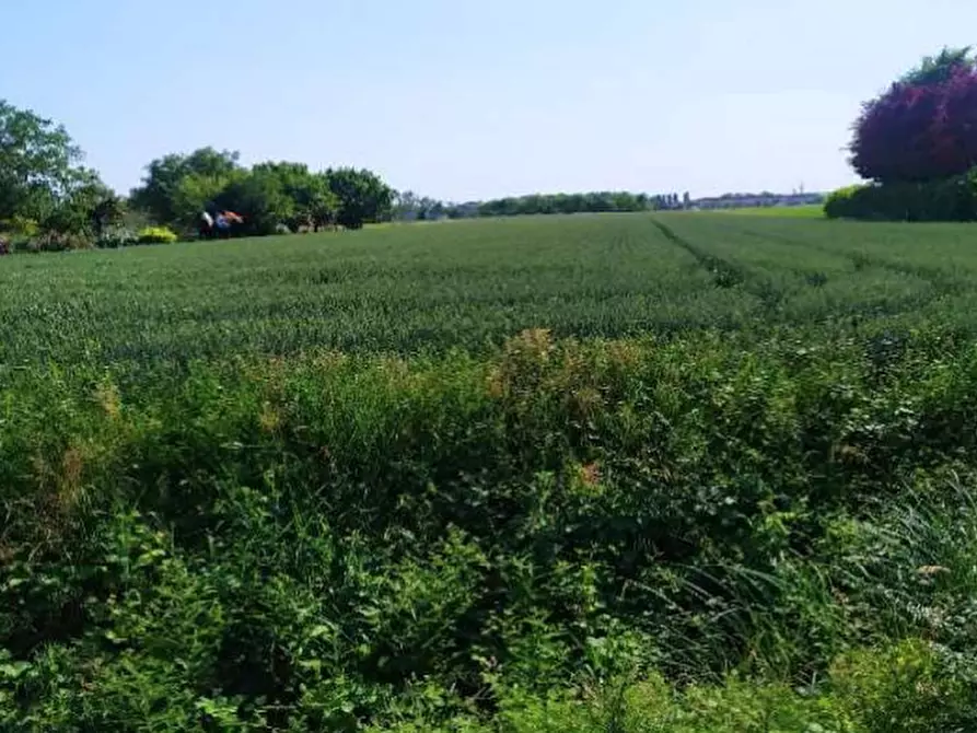 terreno agricolo in vendita a San Donà di Piave