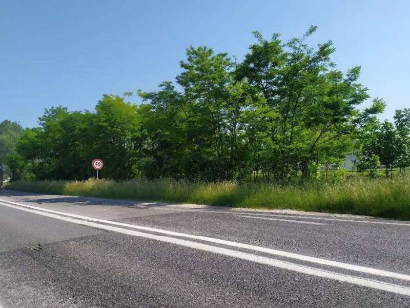 terreno agricolo in vendita a San Donà di Piave
