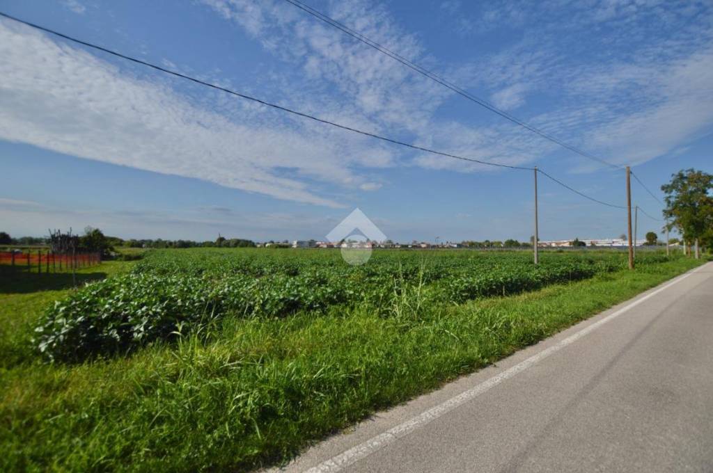 terreno agricolo in vendita a San Donà di Piave in zona Jutificio