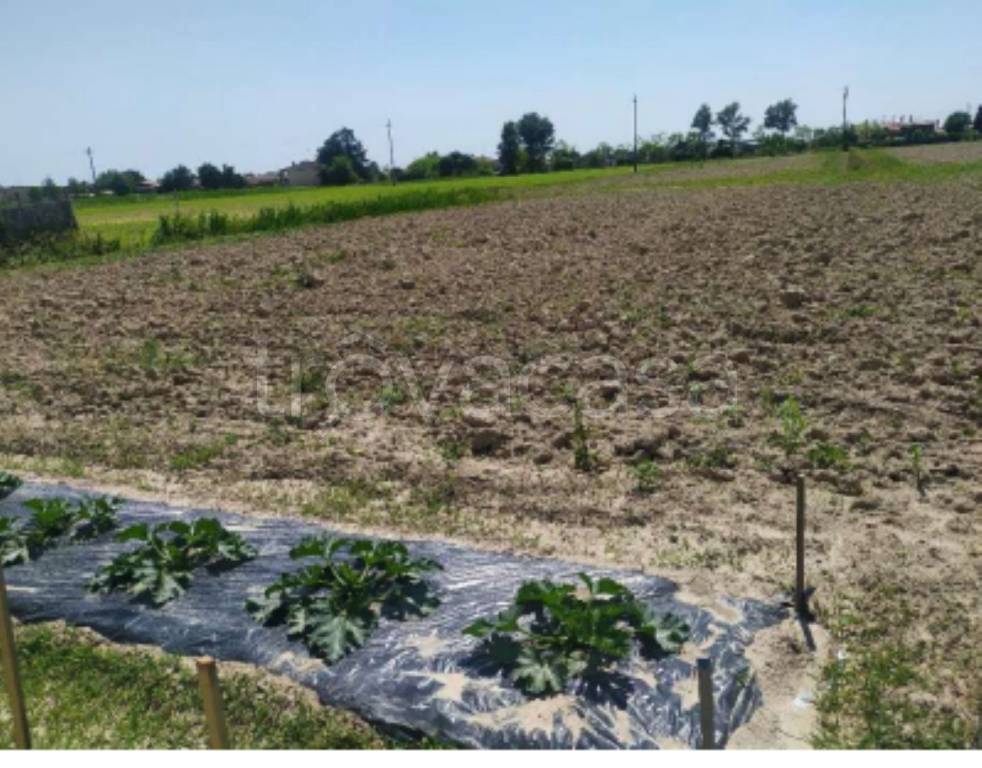terreno agricolo in vendita a San Donà di Piave