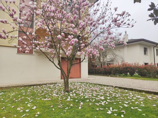 appartamento in vendita a San Donà di Piave in zona Caposile