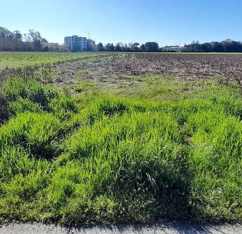 terreno in vendita a San Donà di Piave in zona Jutificio