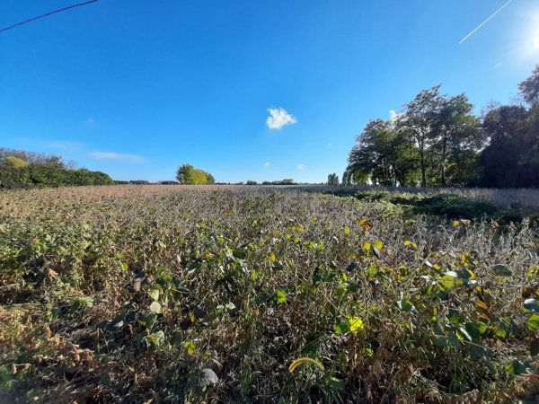 terreno agricolo in vendita a San Donà di Piave