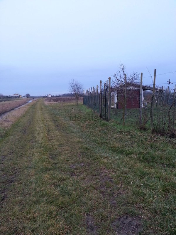 terreno agricolo in vendita a San Donà di Piave in zona Fossà
