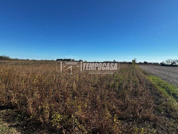 terreno agricolo in vendita a San Donà di Piave