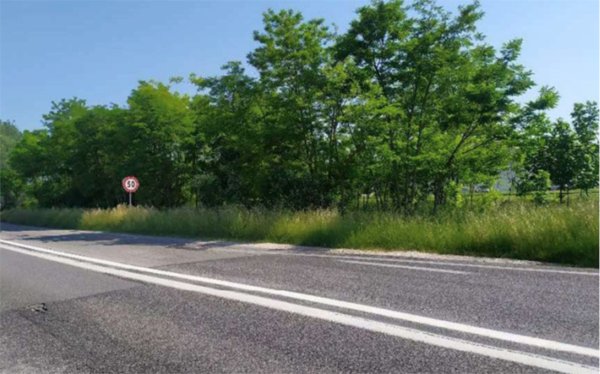 terreno agricolo in vendita a San Donà di Piave