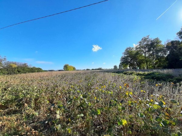 terreno agricolo in vendita a San Donà di Piave