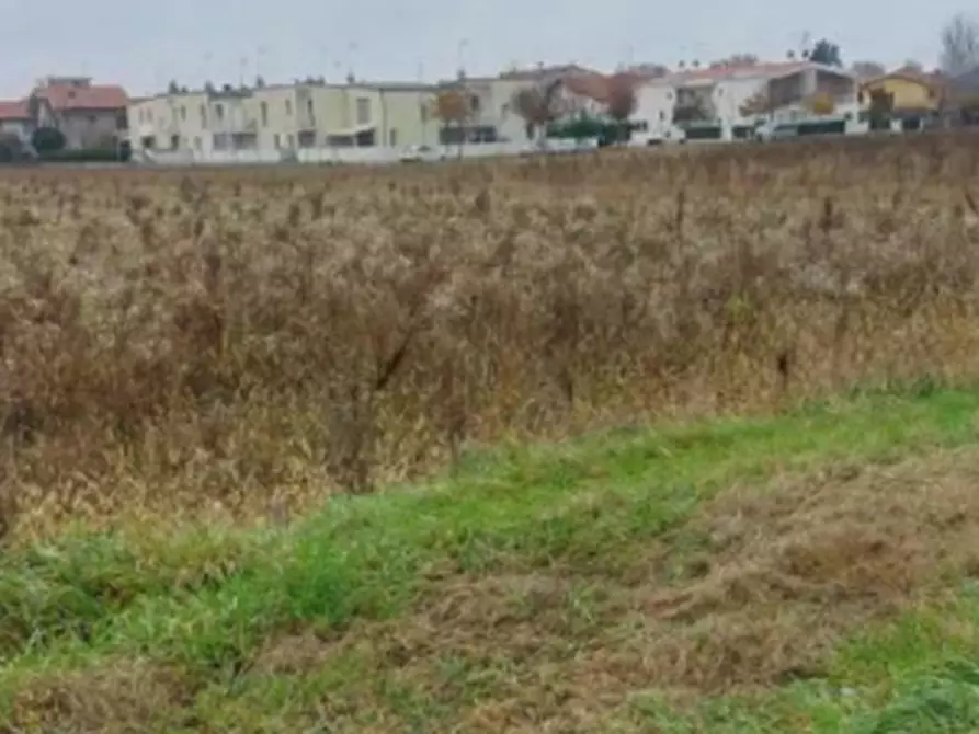 terreno edificabile in vendita a San Donà di Piave in zona Mussetta di Sopra