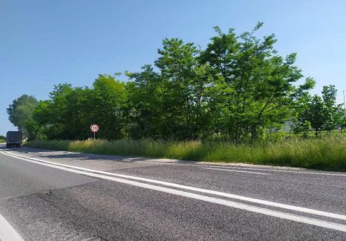 terreno agricolo in vendita a San Donà di Piave