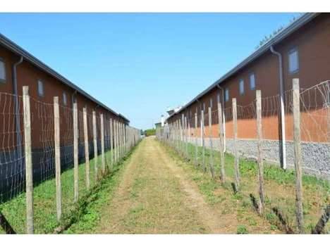 terreno agricolo in vendita a San Donà di Piave