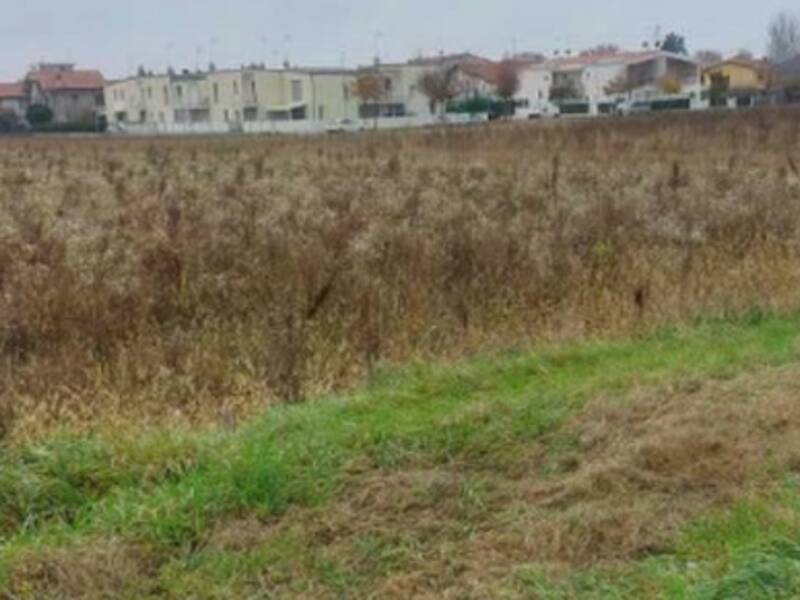 terreno edificabile in vendita a San Donà di Piave in zona Mussetta di Sopra