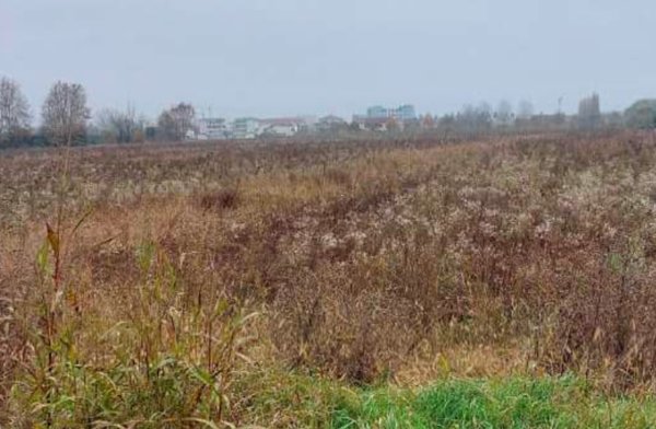 terreno edificabile in vendita a San Donà di Piave in zona Mussetta di Sopra